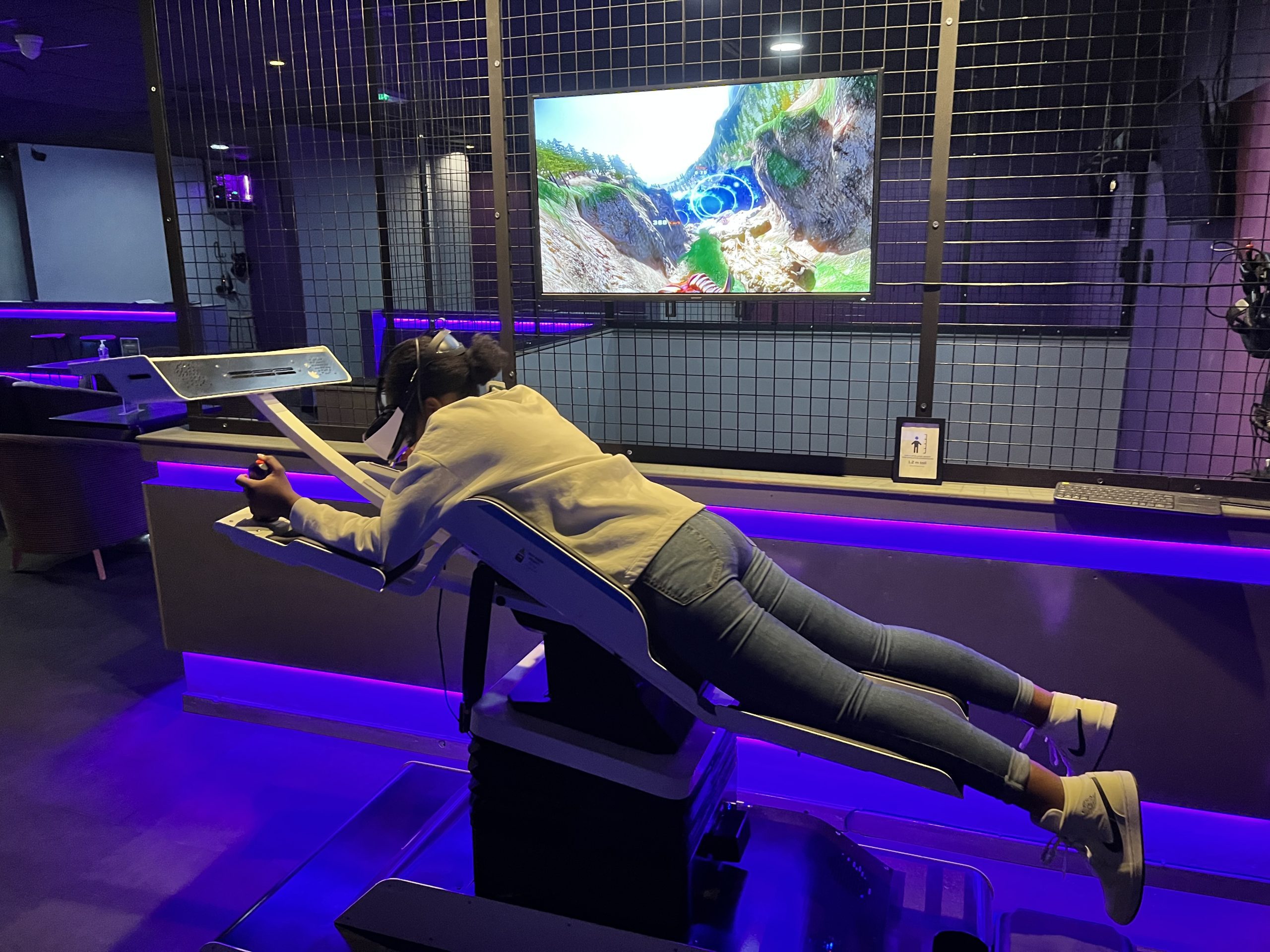 VR Flying Simulator